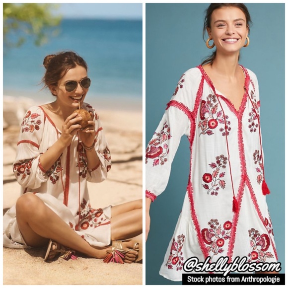 Anthropologie Dresses & Skirts - NWT Hadley Embroidered Tunic Dress Ranna Gill XS